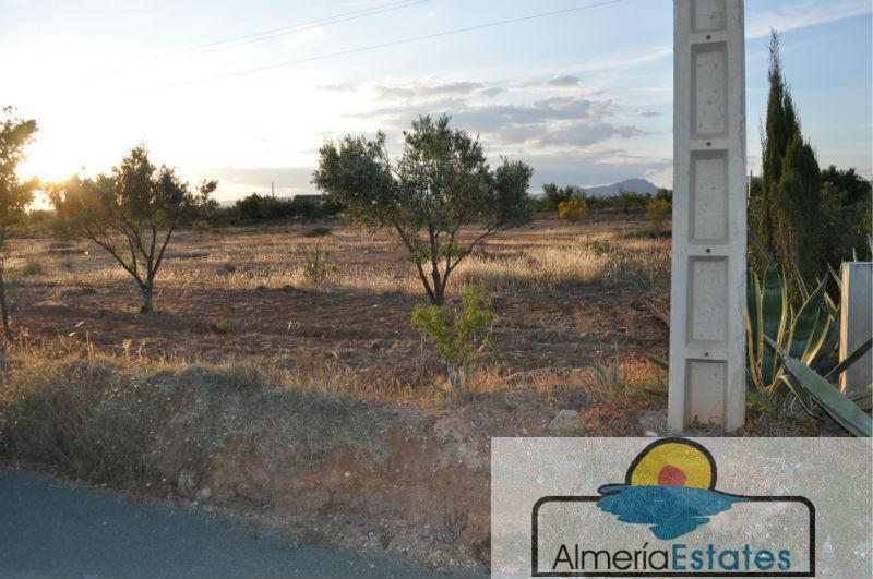 For sale of rural property in Albox