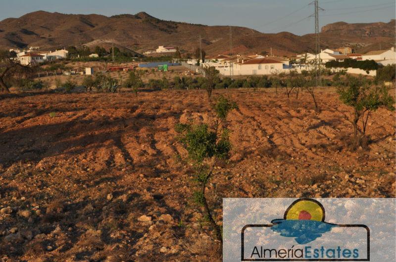 Venta de finca rústica en Albox