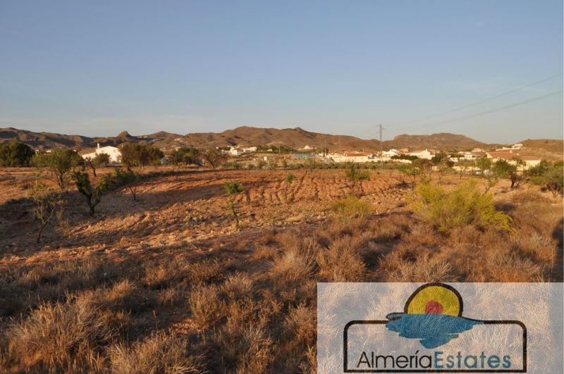 Venta de finca rústica en Albox