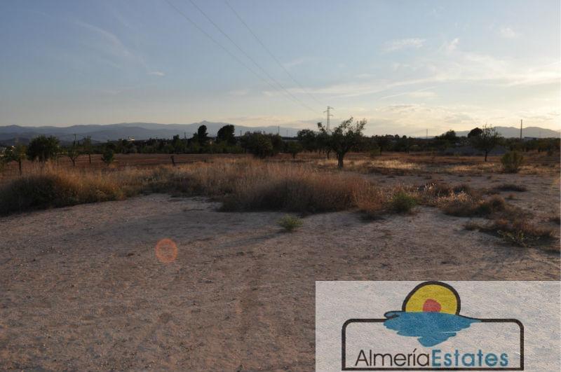 For sale of rural property in Albox