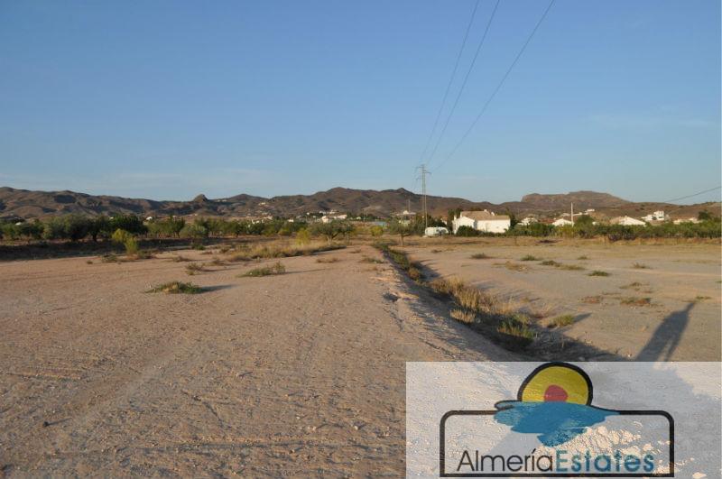 For sale of rural property in Albox