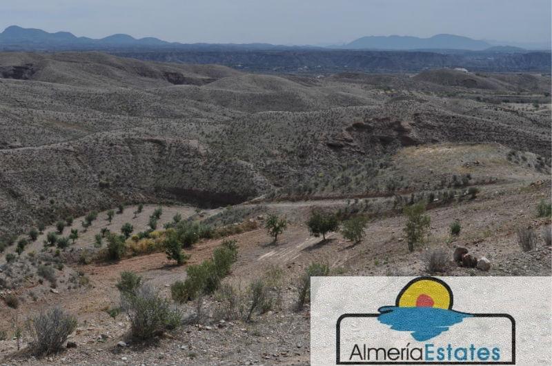 For sale of rural property in Taberno