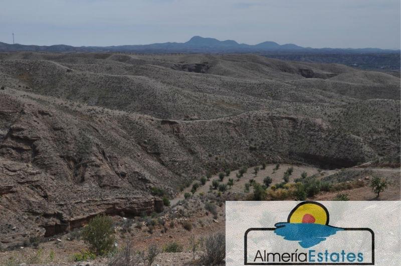 For sale of rural property in Taberno