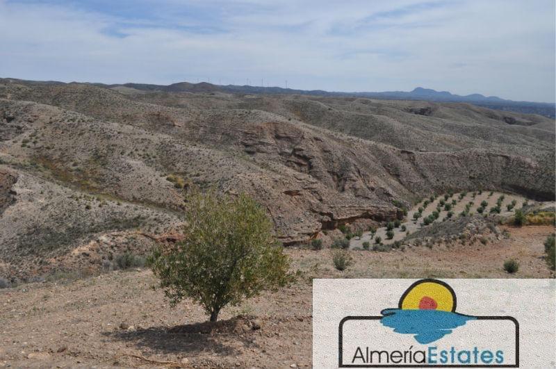 For sale of rural property in Taberno