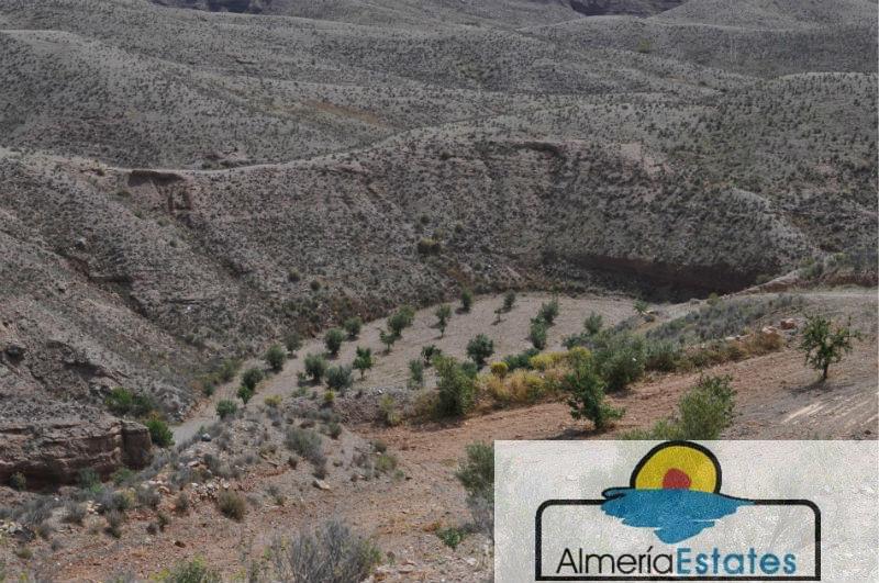 For sale of rural property in Taberno