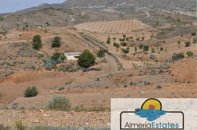 For sale of rural property in Taberno