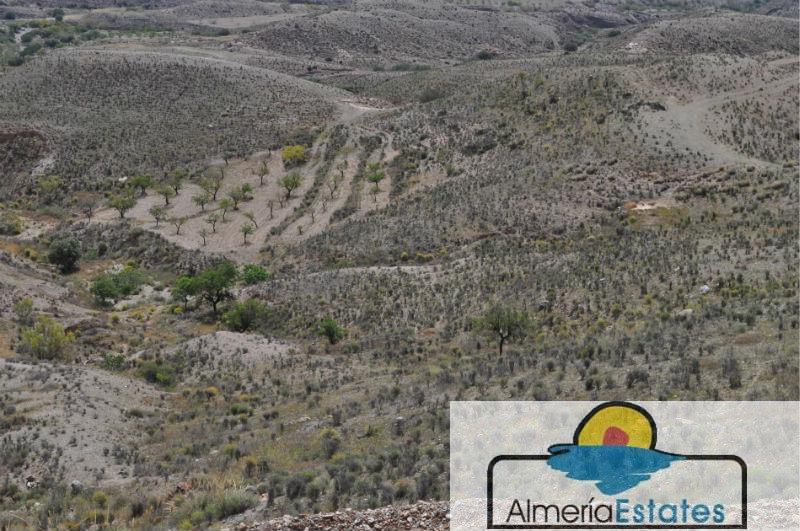 For sale of rural property in Taberno