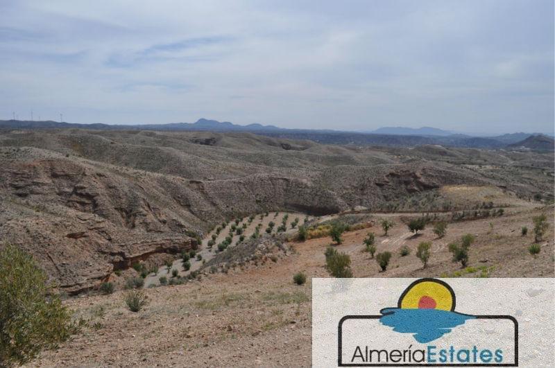 For sale of rural property in Taberno