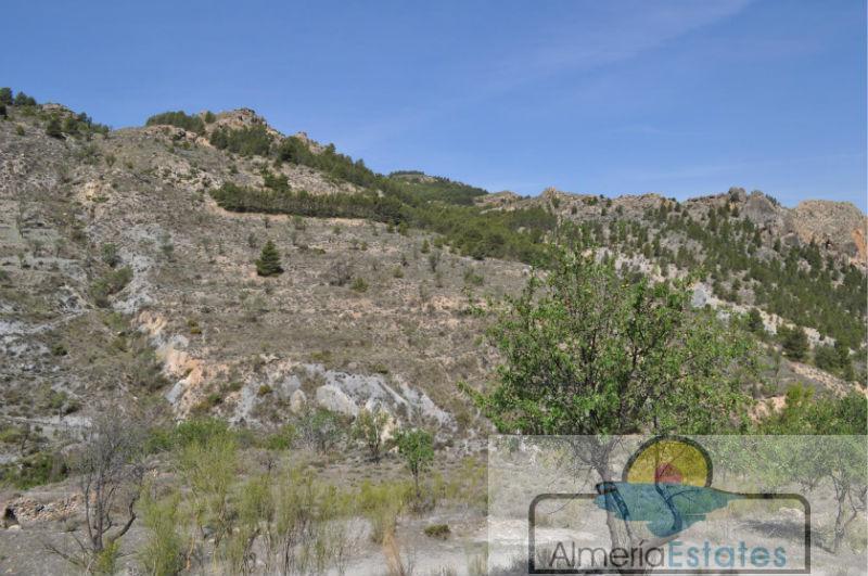 For sale of house in Serón