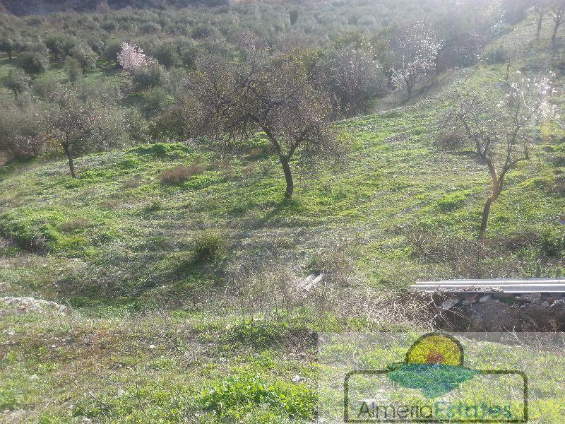 Venta de casa en Oria