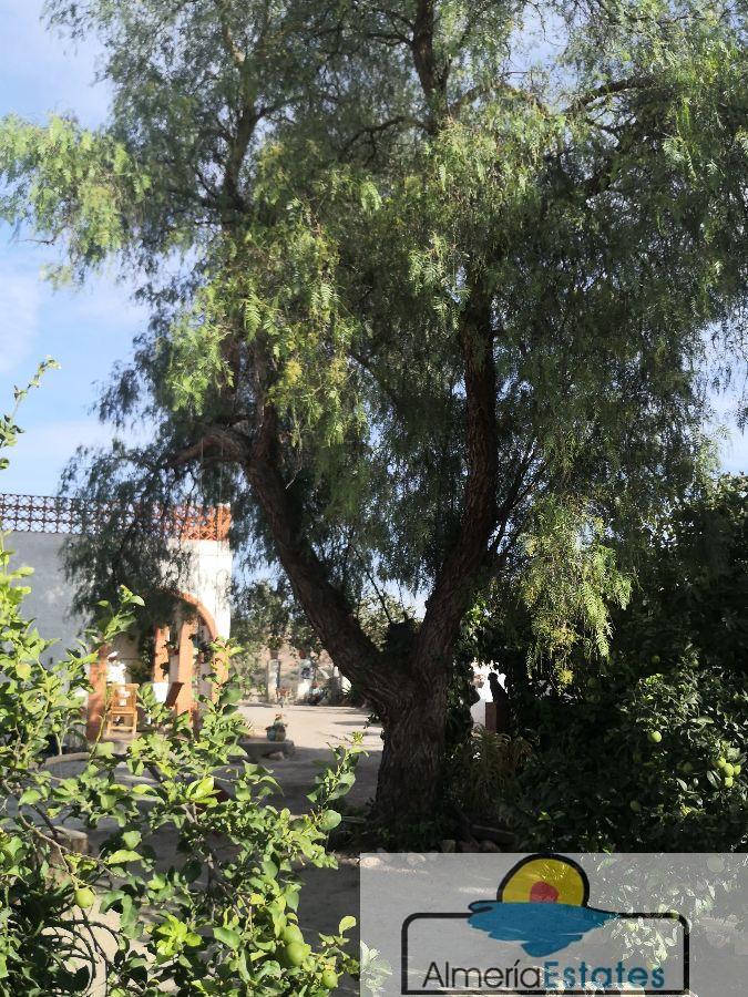 Venta de villa en Albox