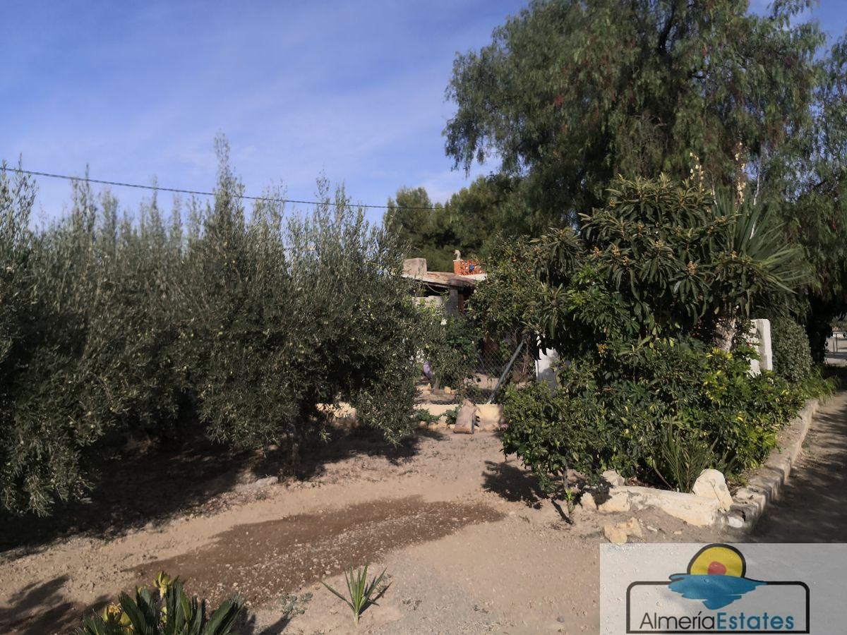 Venta de villa en Albox