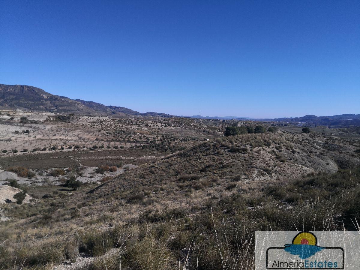 Venta de finca rústica en Somontín