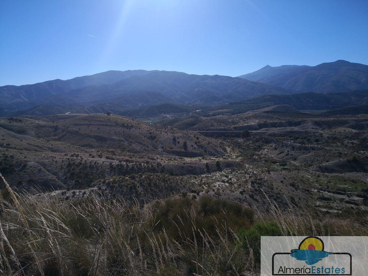 Venta de finca rústica en Somontín