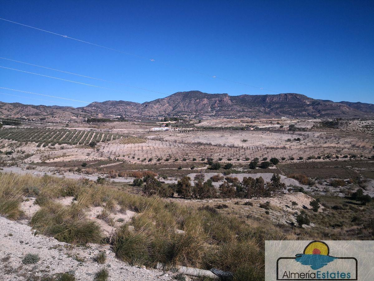 Venta de finca rústica en Somontín