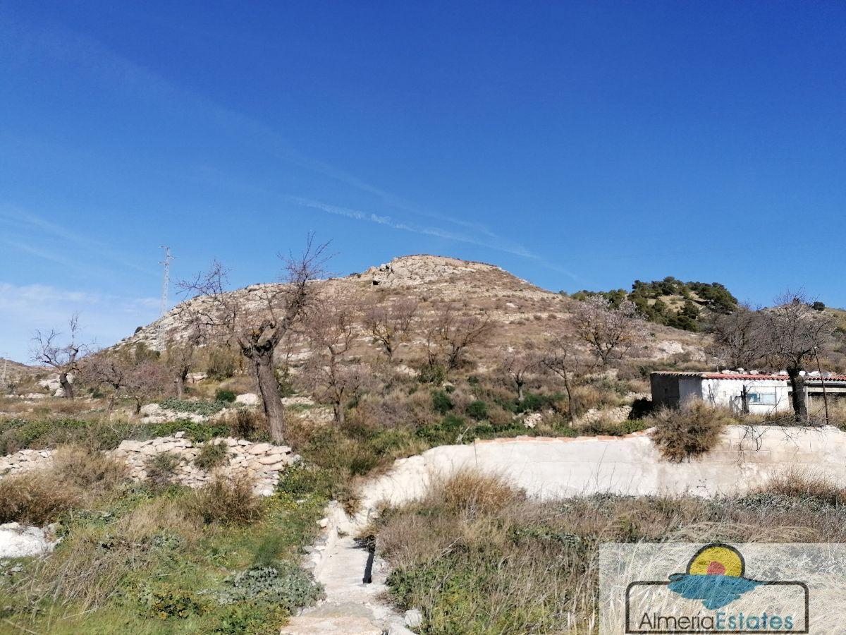 For sale of house in Oria