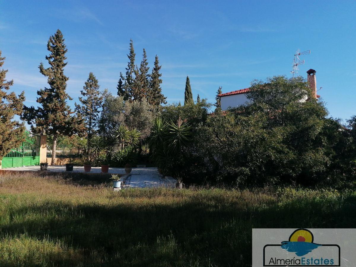 For sale of villa in Albox