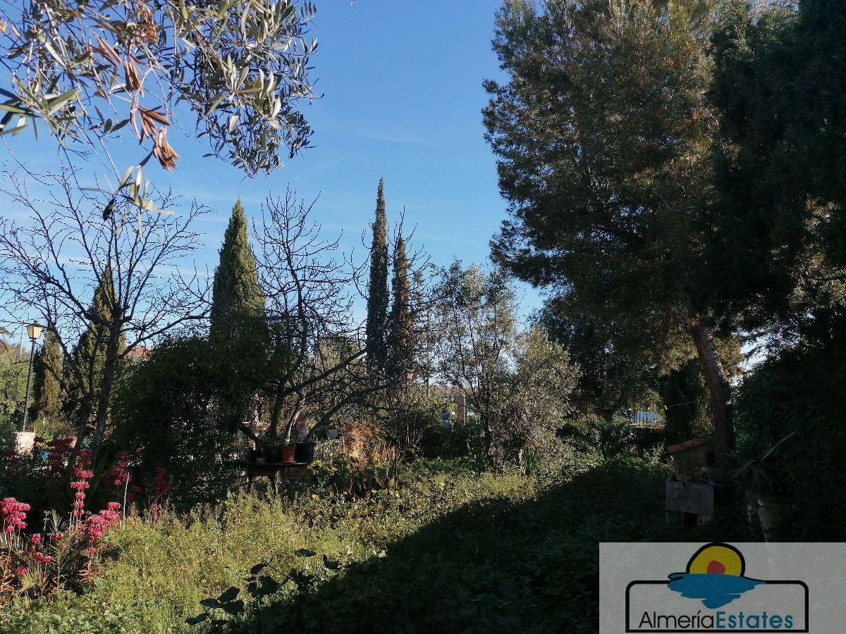 For sale of villa in Albox