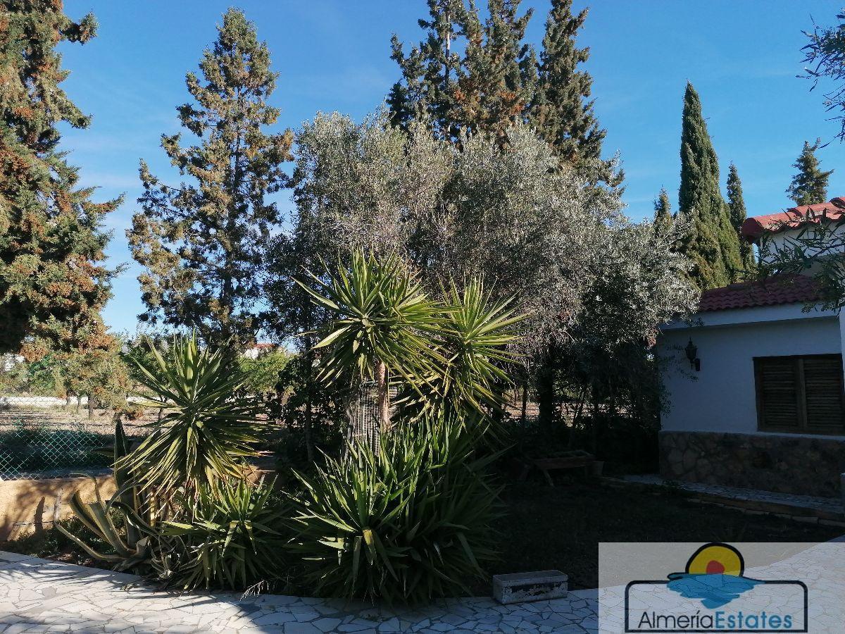 For sale of villa in Albox