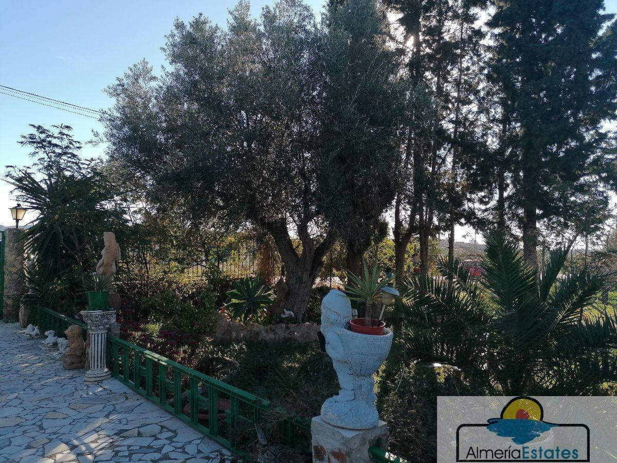 For sale of villa in Albox