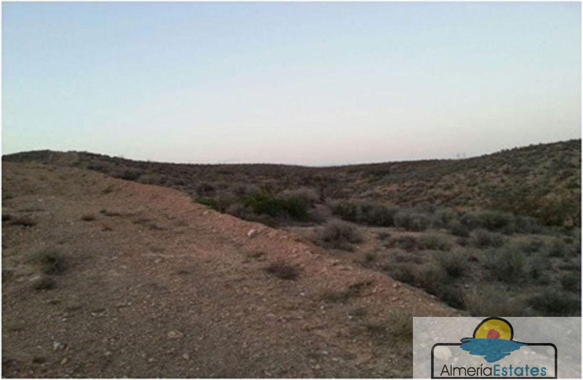 Venta de finca rústica en Albox