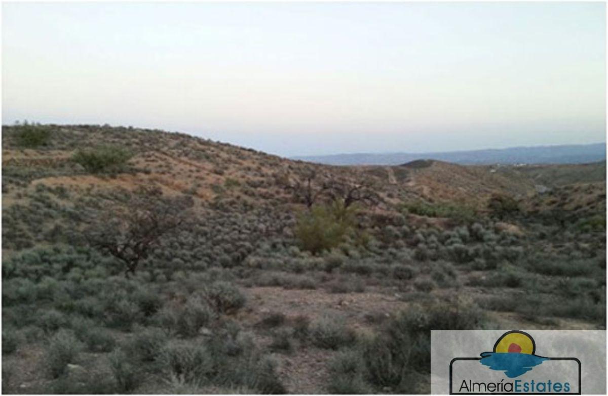 Venta de finca rústica en Albox