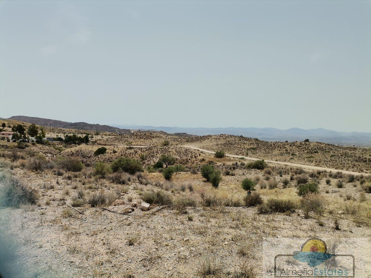 Venta de terreno en Albox