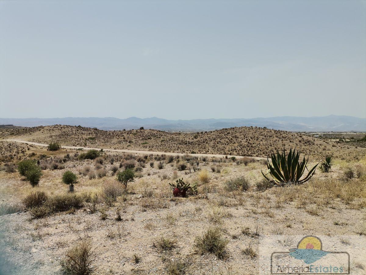 Venta de terreno en Albox