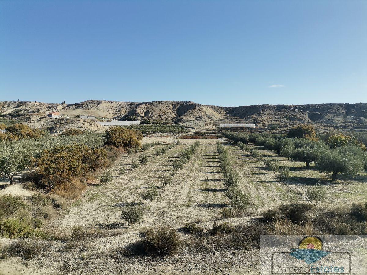 For sale of rural property in Albox