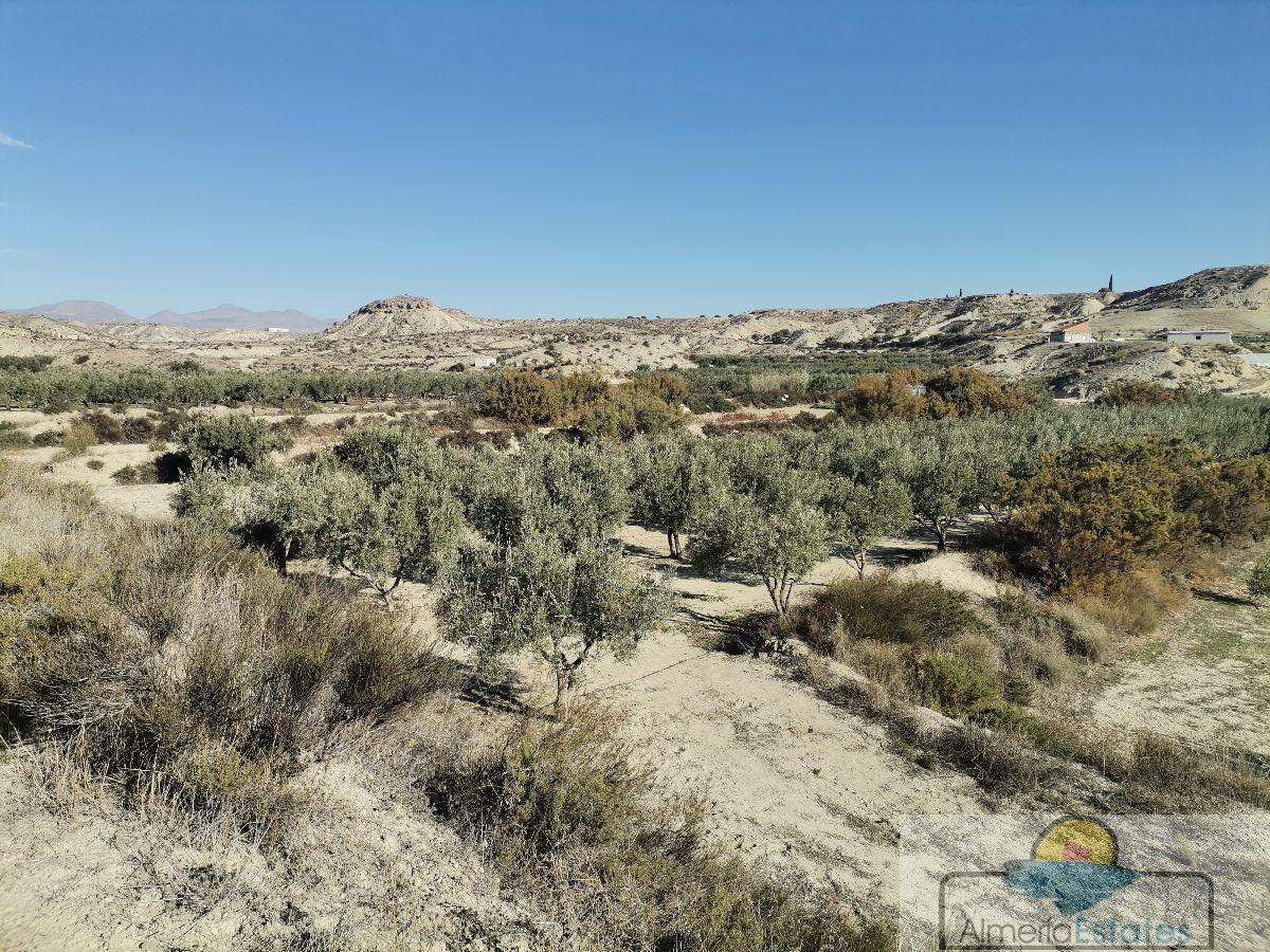 For sale of rural property in Albox