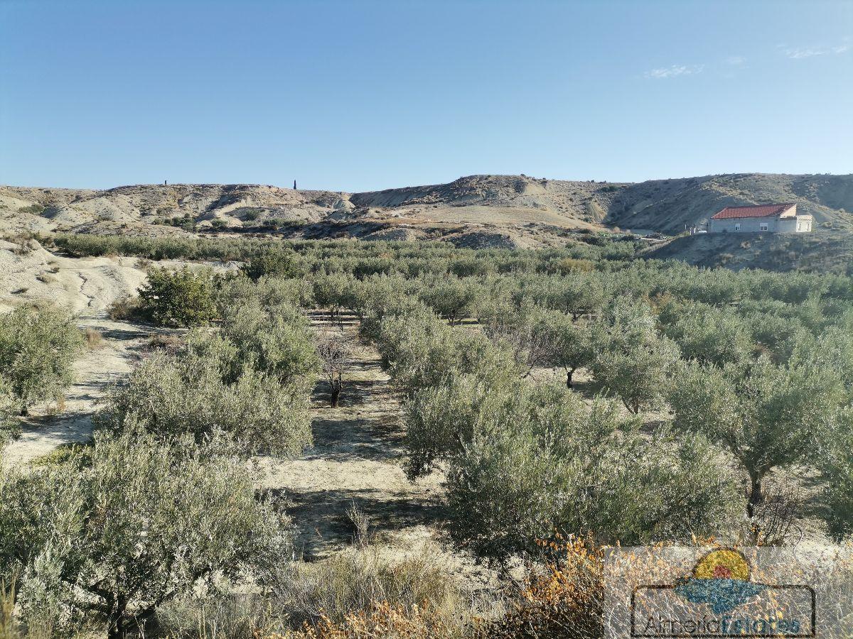 For sale of rural property in Albox