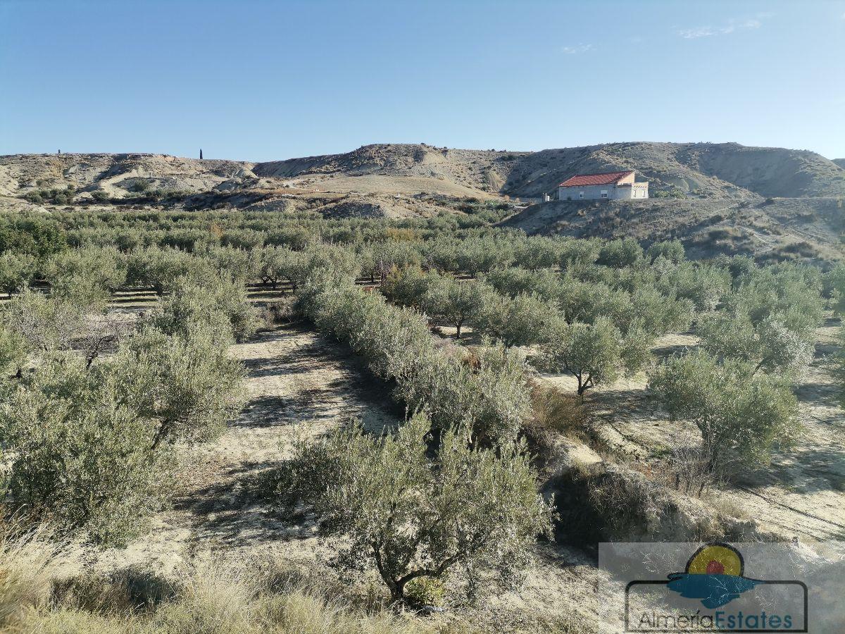 For sale of rural property in Albox