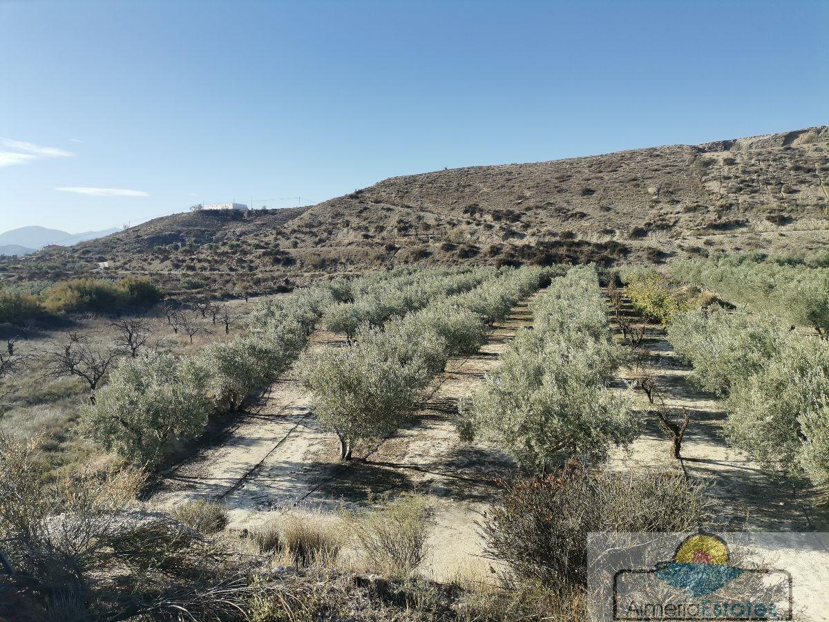 For sale of rural property in Albox