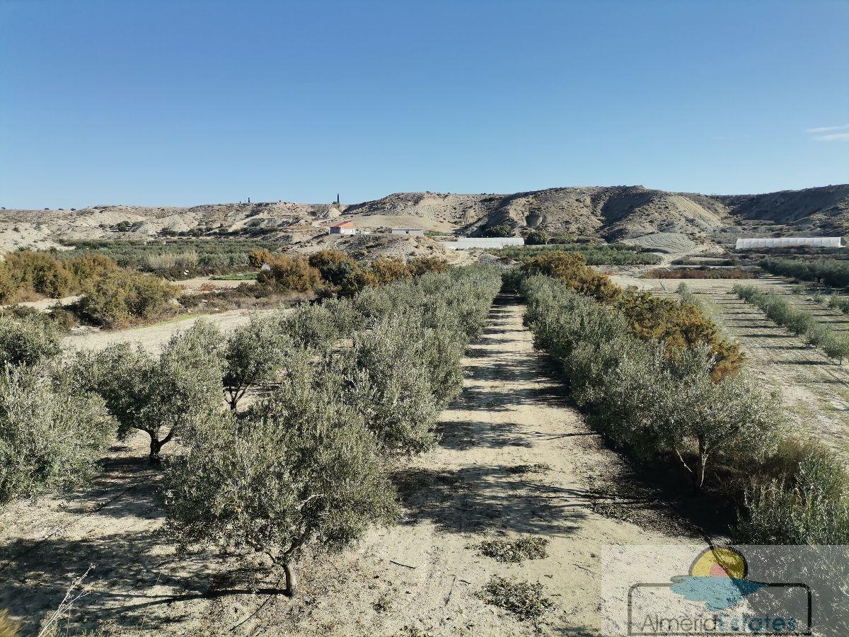 For sale of rural property in Albox