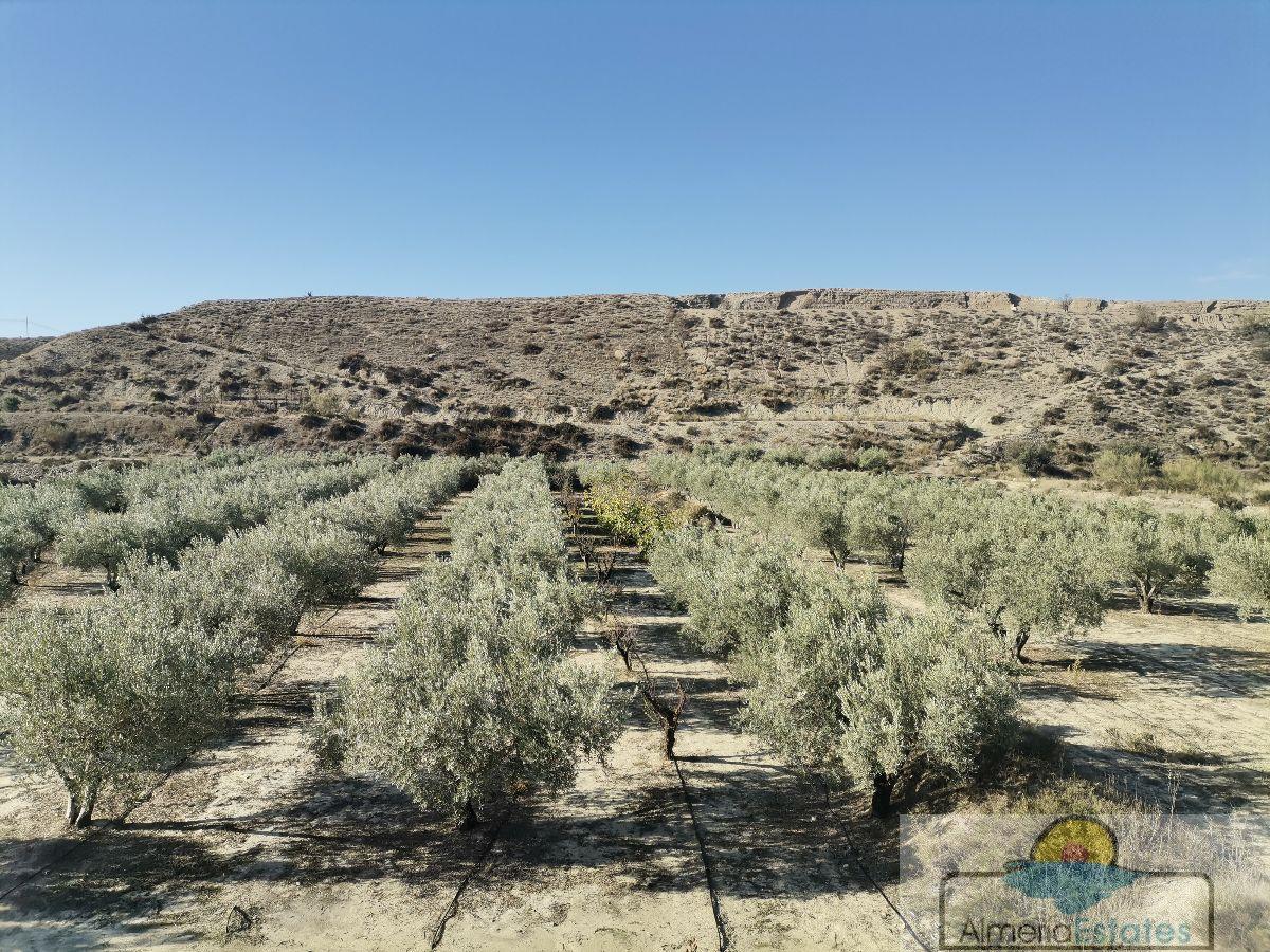 For sale of rural property in Albox