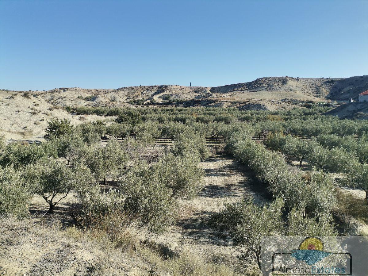 For sale of rural property in Albox