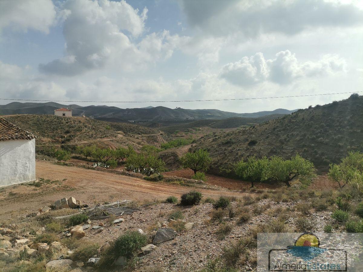 For sale of house in Taberno