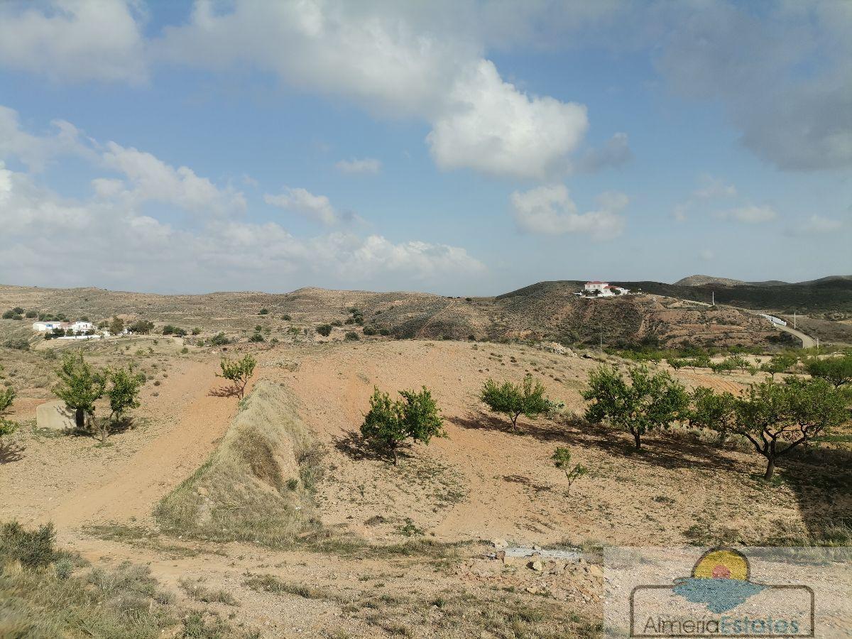 For sale of house in Taberno