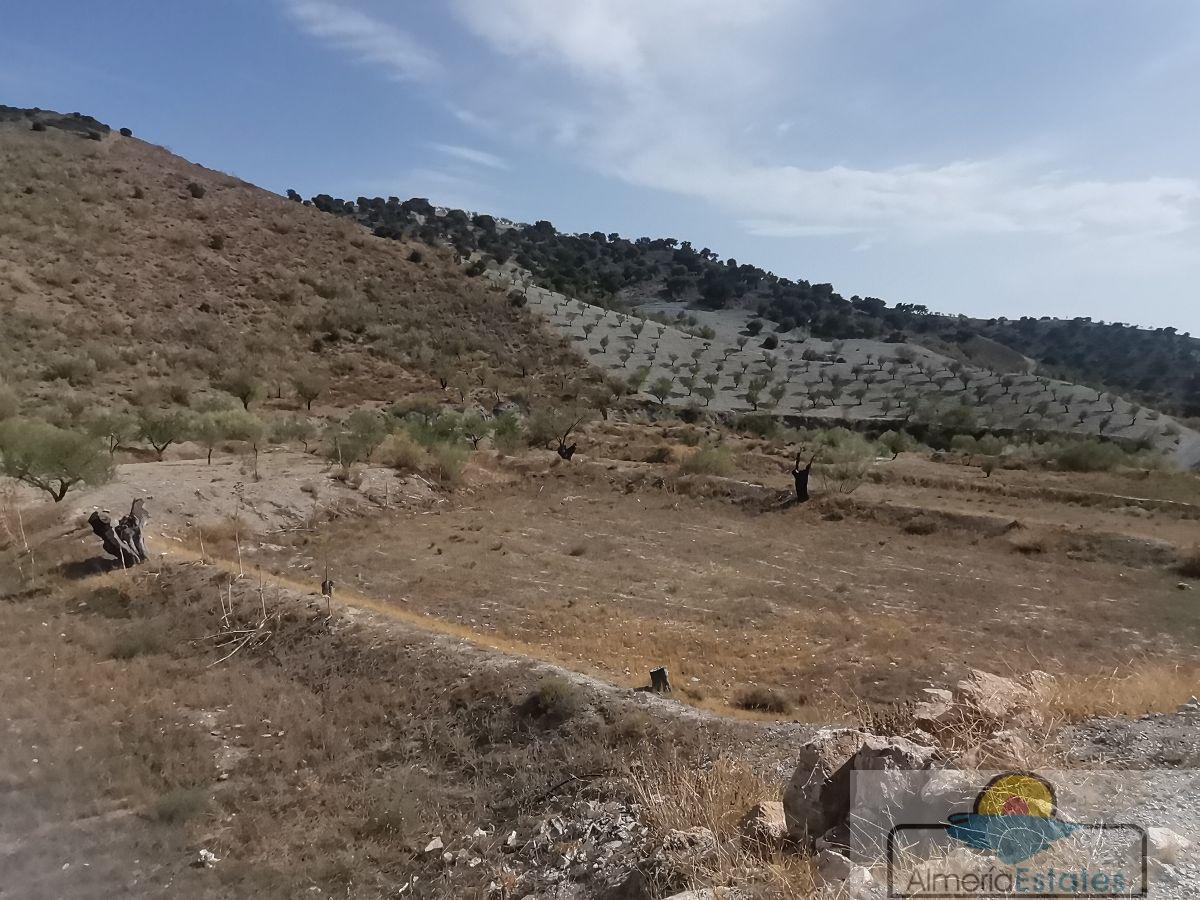 Venta de casa en Taberno