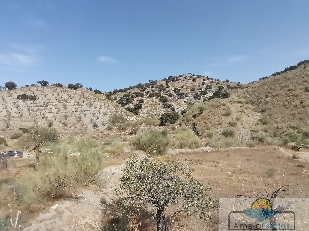 Venta de casa en Taberno