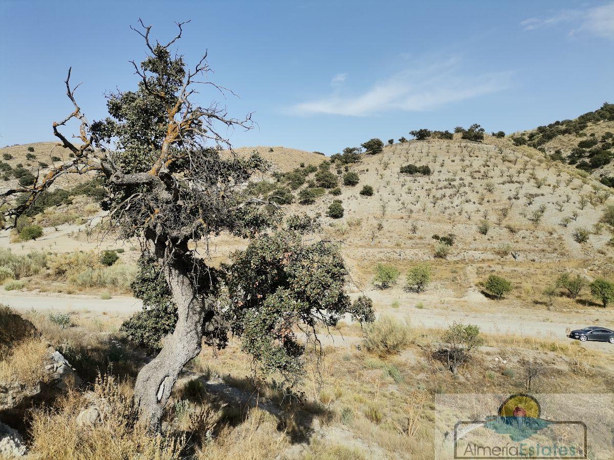 Venta de casa en Taberno