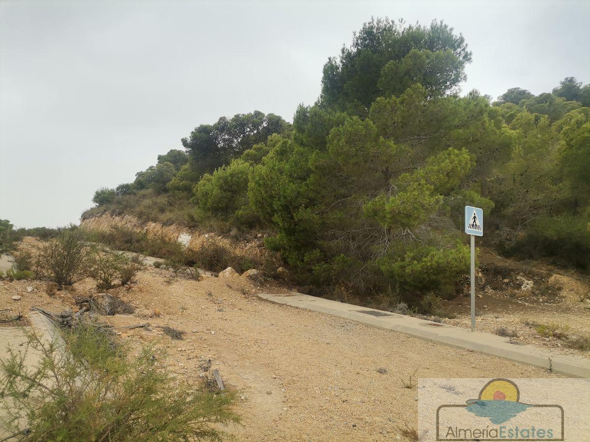 For sale of land in Bédar