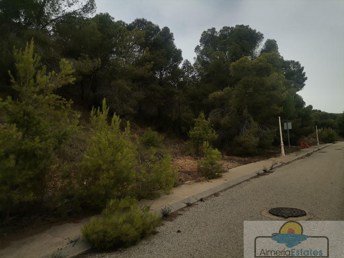 For sale of land in Bédar