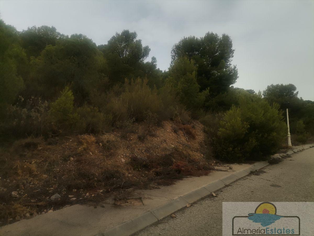 For sale of land in Bédar