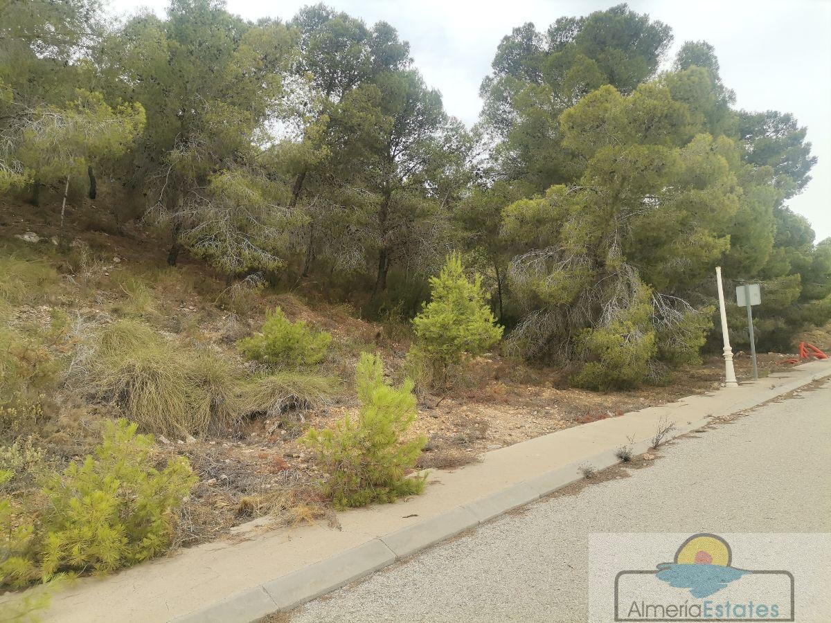 For sale of land in Bédar