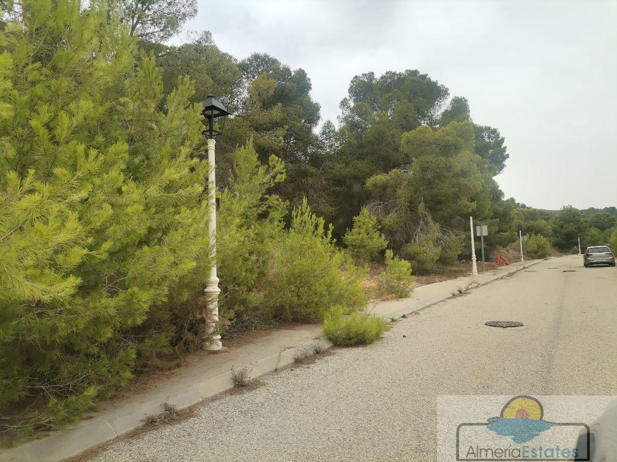 For sale of land in Bédar