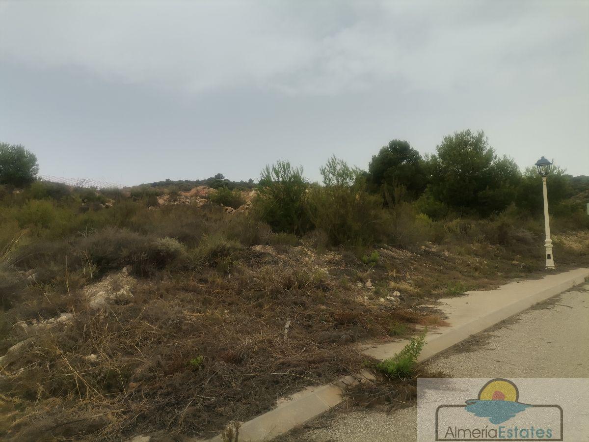 For sale of land in Bédar