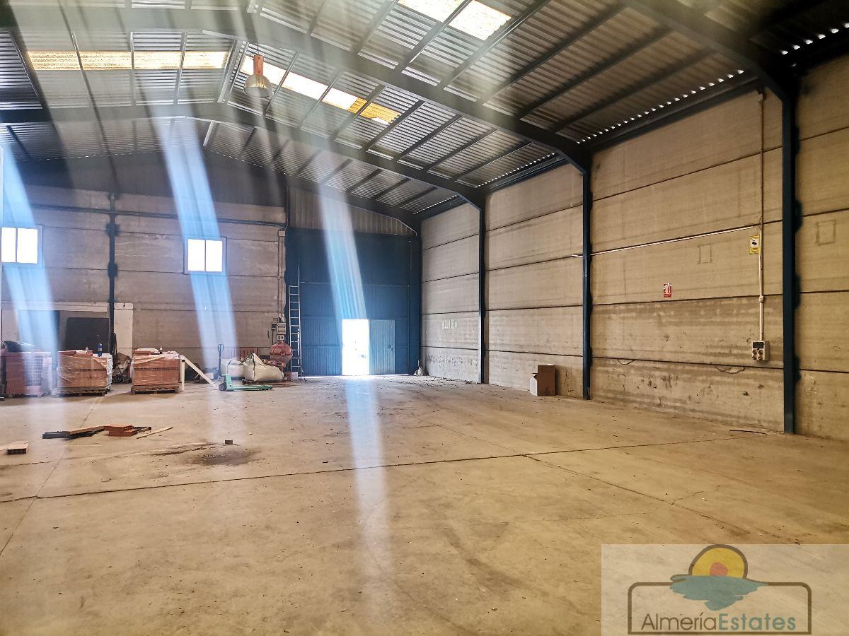 For sale of warehouse in Albox
