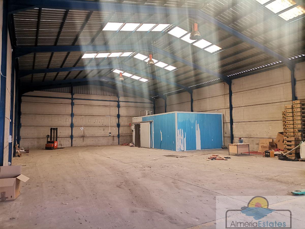 For sale of warehouse in Albox