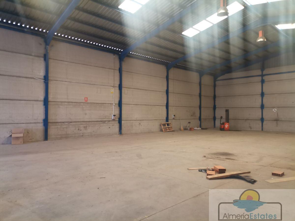 For sale of warehouse in Albox